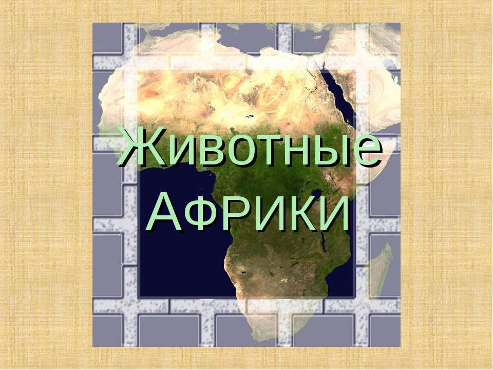 Животные АФРИКИ  - Скачать презентации бесплатно | Читать или скачать учебники для школы онлайн бесплатно ☑ Школьные учебники school-textbook.com