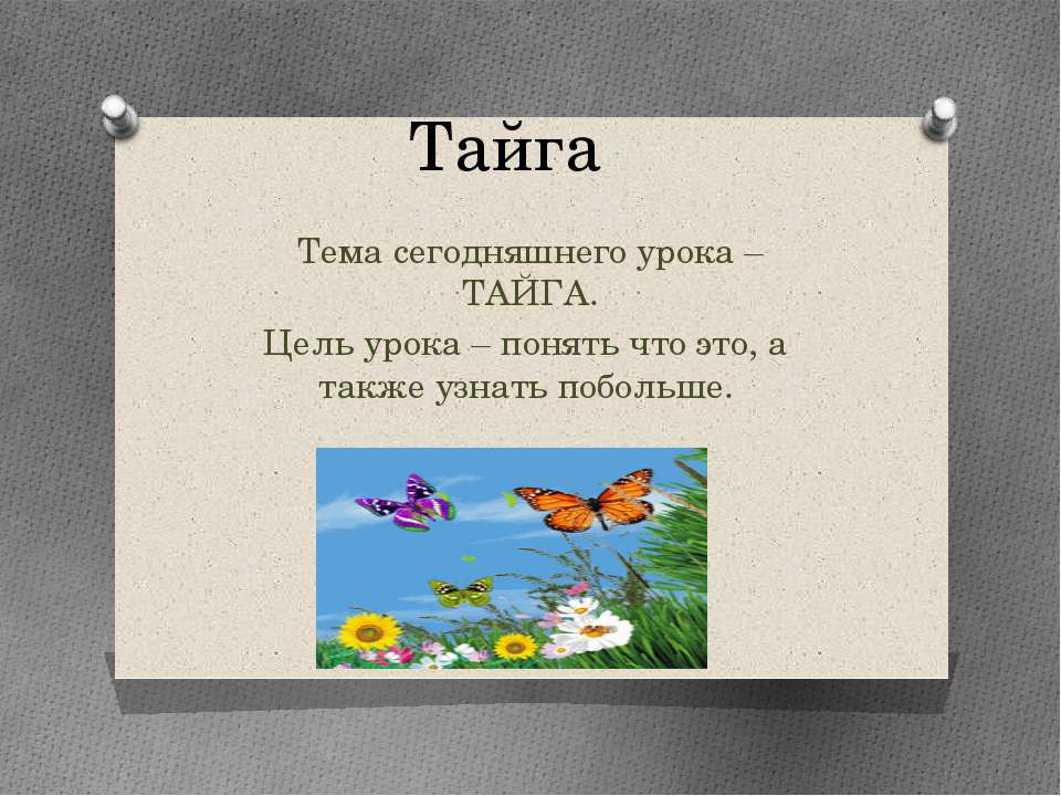 ТАЙГА - Скачать презентации бесплатно ☑ Презентации по предметам на gdz-books.ru