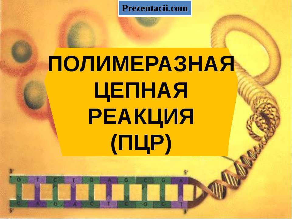 Полимеразная цепная реакция(ПЦР) - Скачать презентации бесплатно ☑ Презентации по предметам на gdz-books.ru