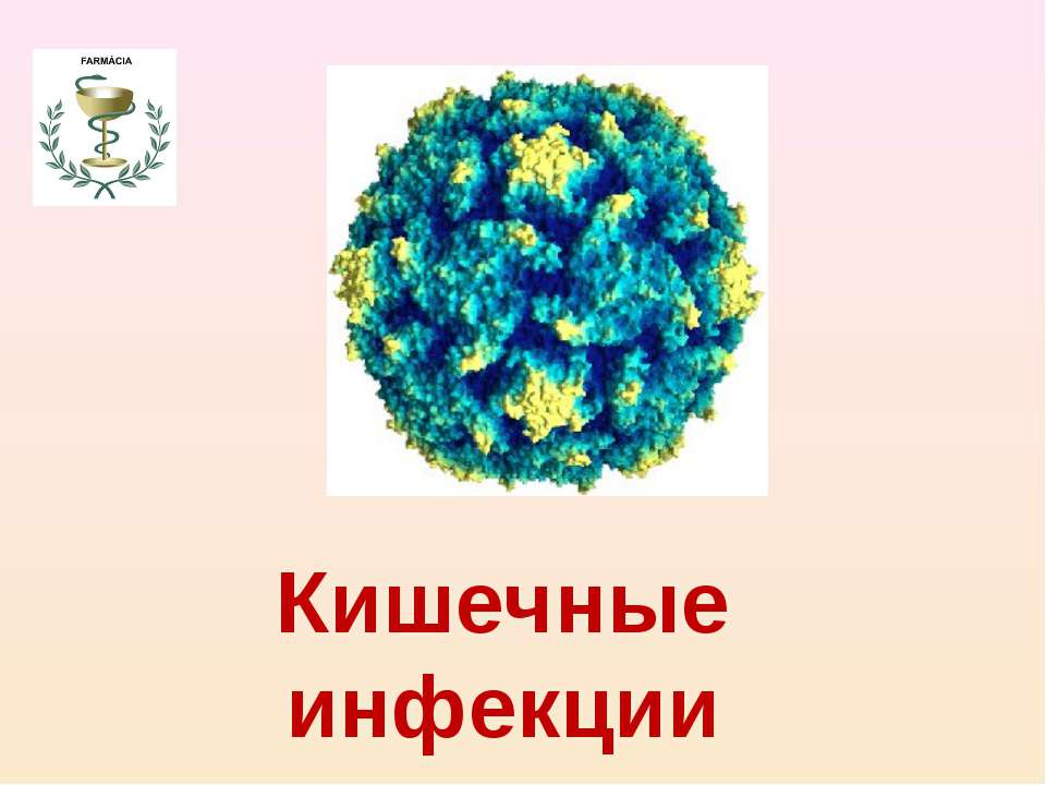 Кишечные инфекции  - Скачать презентации бесплатно | Читать или скачать учебники для школы онлайн бесплатно ☑ Школьные учебники school-textbook.com
