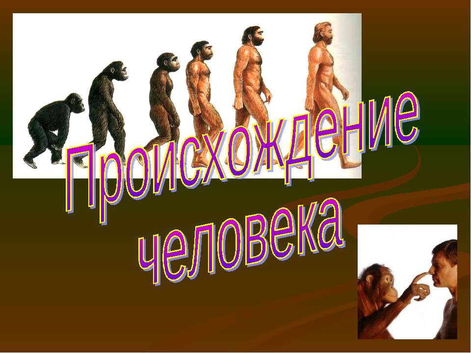 Происхождение человека  - Скачать презентации бесплатно | Читать или скачать учебники для школы онлайн бесплатно ☑ Школьные учебники school-textbook.com