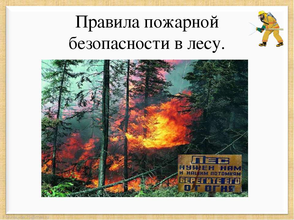 Правила пожарной безопасности в лесу  - Скачать презентации бесплатно | Читать или скачать учебники для школы онлайн бесплатно ☑ Школьные учебники school-textbook.com
