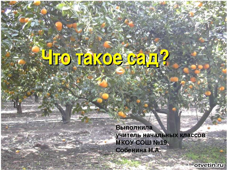 Что такое сад?  - Скачать презентации бесплатно | Читать или скачать учебники для школы онлайн бесплатно ☑ Школьные учебники school-textbook.com