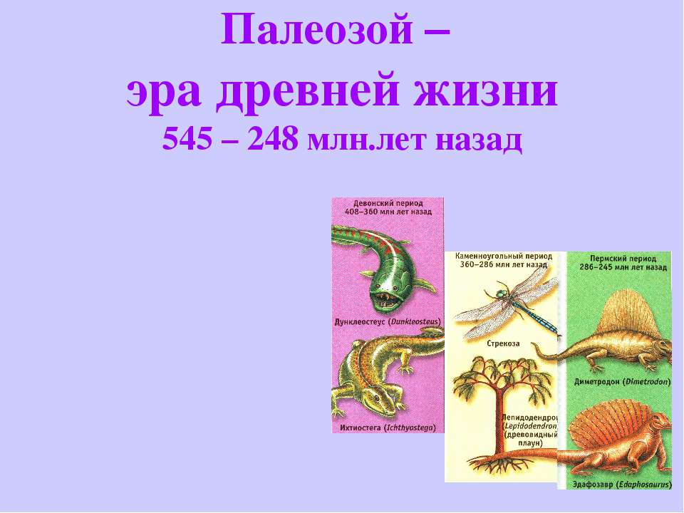 Палеозой – эра древней жизни 545 – 248 млн.лет назад - Скачать презентации бесплатно ☑ Презентации по предметам на gdz-books.ru