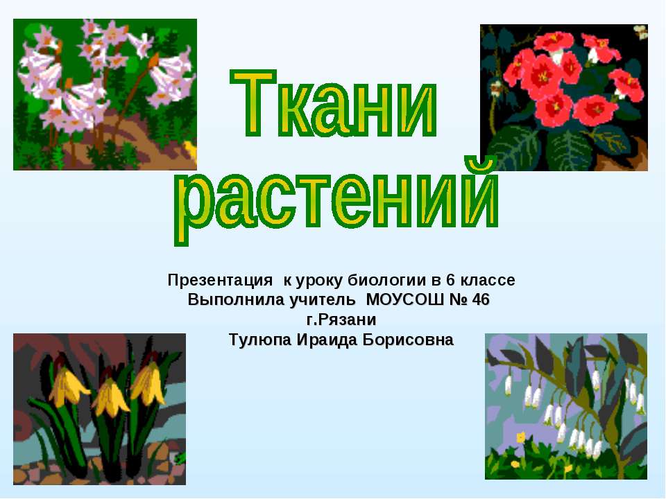 Ткани растений 6 класс  - Скачать презентации бесплатно | Читать или скачать учебники для школы онлайн бесплатно ☑ Школьные учебники school-textbook.com