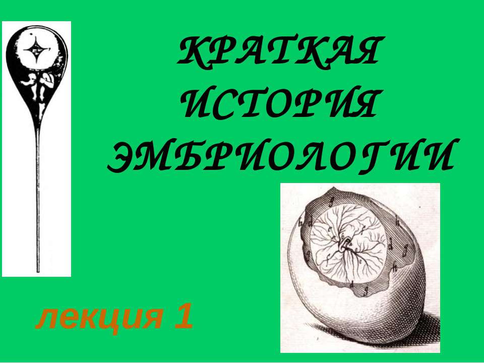 Краткая история эмбриологии  - Скачать презентации бесплатно | Читать или скачать учебники для школы онлайн бесплатно ☑ Школьные учебники school-textbook.com