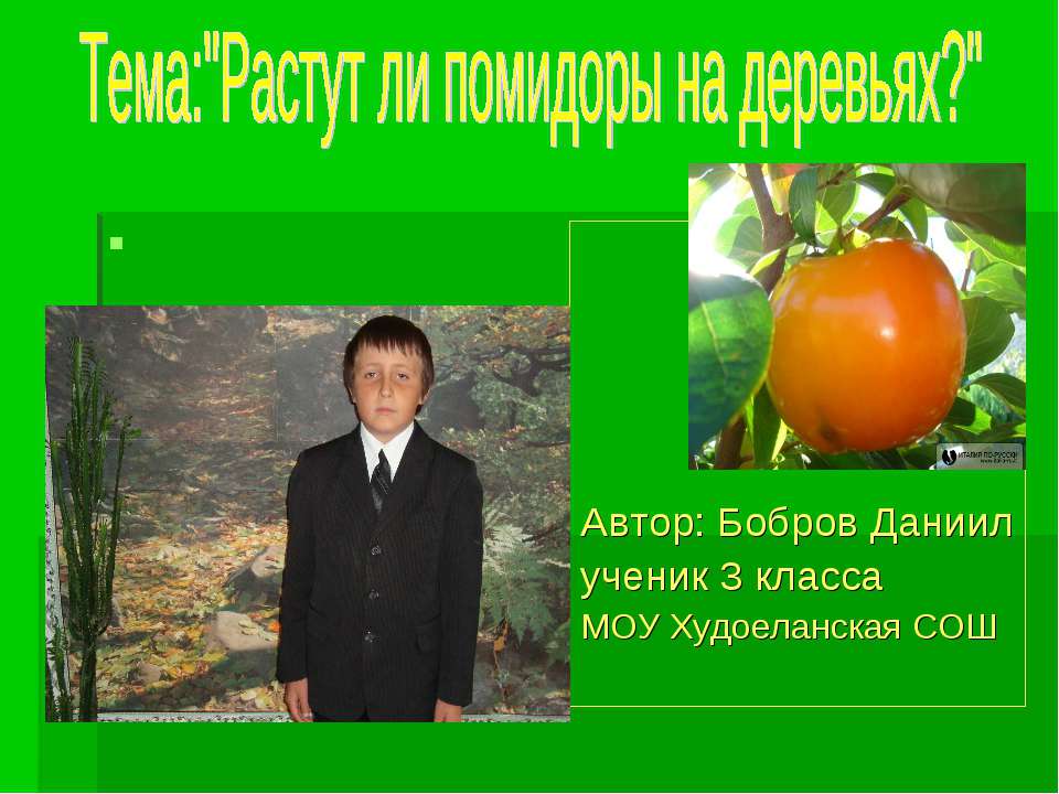 Растут ли помидоры на деревьях?  - Скачать презентации бесплатно | Читать или скачать учебники для школы онлайн бесплатно ☑ Школьные учебники school-textbook.com