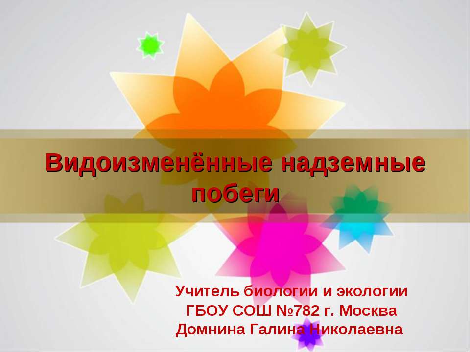 Видоизменённые надземные побеги - Скачать презентации бесплатно ☑ Презентации по предметам на gdz-books.ru