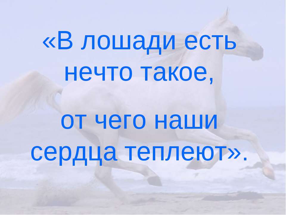 Лошади  - Скачать презентации бесплатно | Читать или скачать учебники для школы онлайн бесплатно ☑ Школьные учебники school-textbook.com