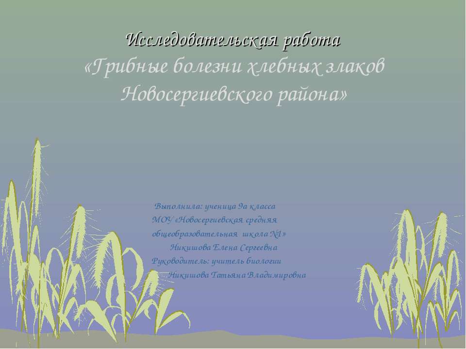 Грибные болезни хлебных злаков Новосергиевского района - Скачать презентации бесплатно ☑ Презентации по предметам на gdz-books.ru