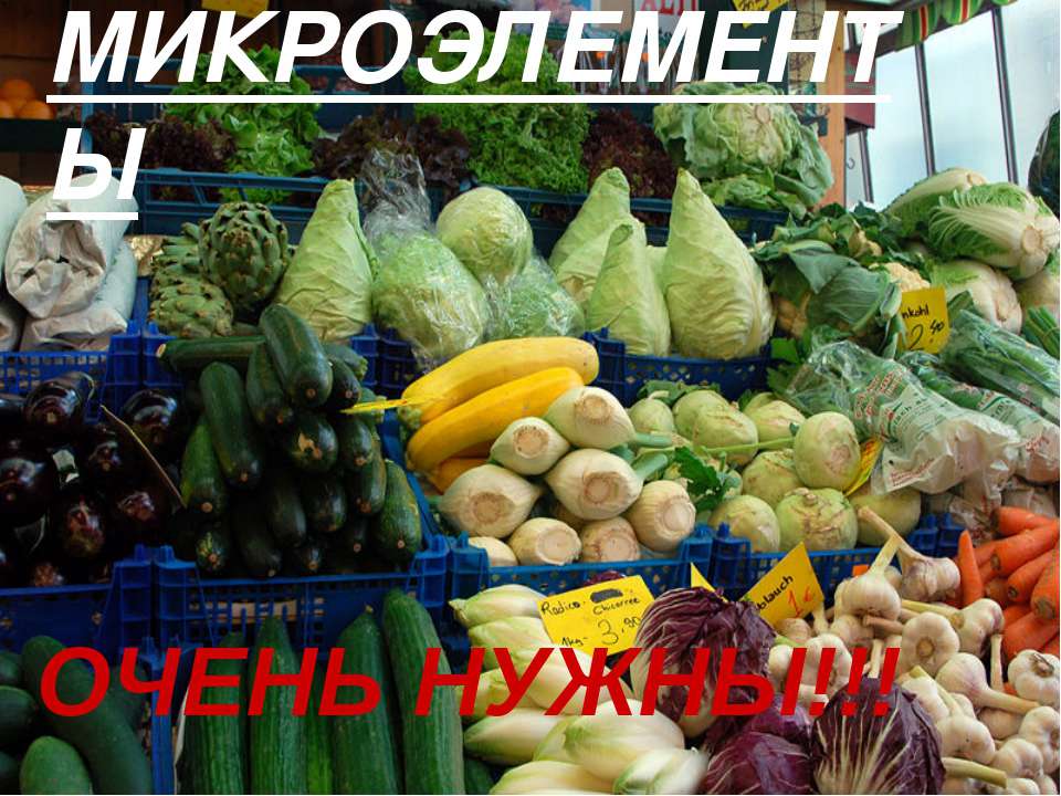 Микроэлементы - Скачать презентации бесплатно ☑ Презентации по предметам на gdz-books.ru