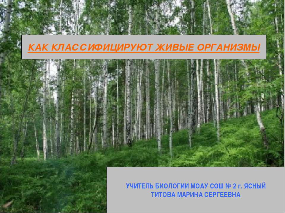Как классифицируют живые организмы  - Скачать презентации бесплатно | Читать или скачать учебники для школы онлайн бесплатно ☑ Школьные учебники school-textbook.com
