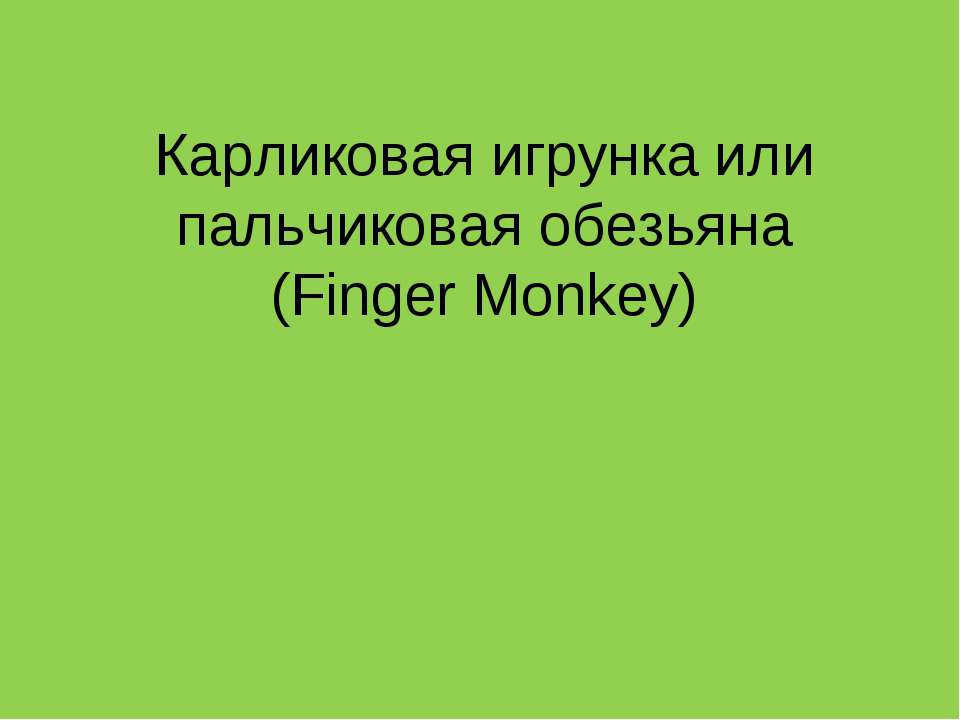Карликовая игрунка или пальчиковая обезьяна (Finger Monkey) - Скачать презентации бесплатно ☑ Презентации по предметам на gdz-books.ru