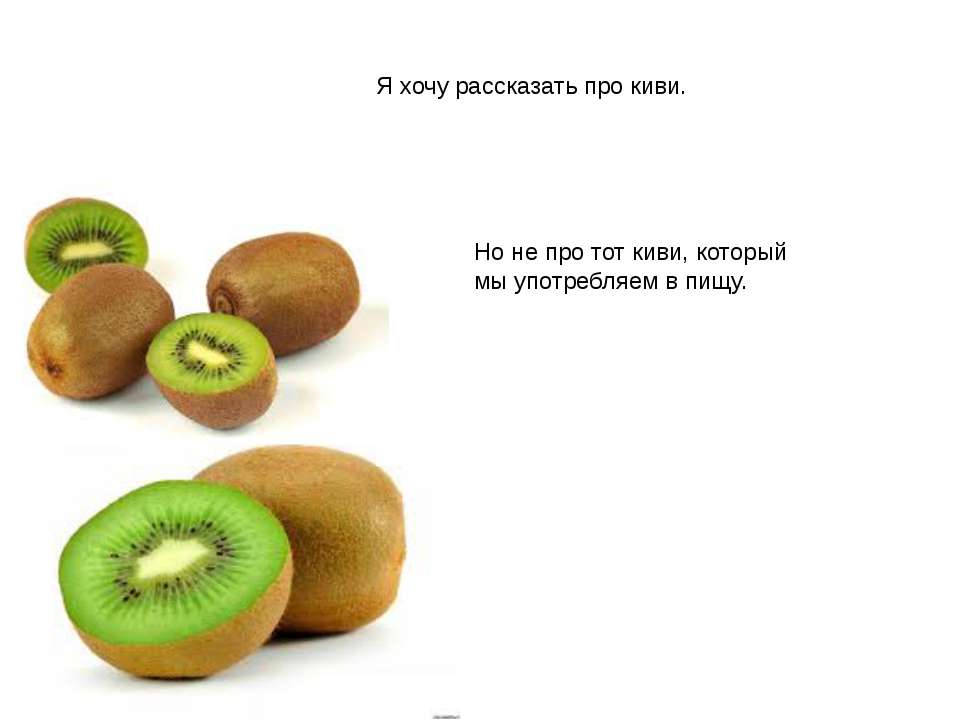 Птица Киви - Скачать презентации бесплатно ☑ Презентации по предметам на gdz-books.ru