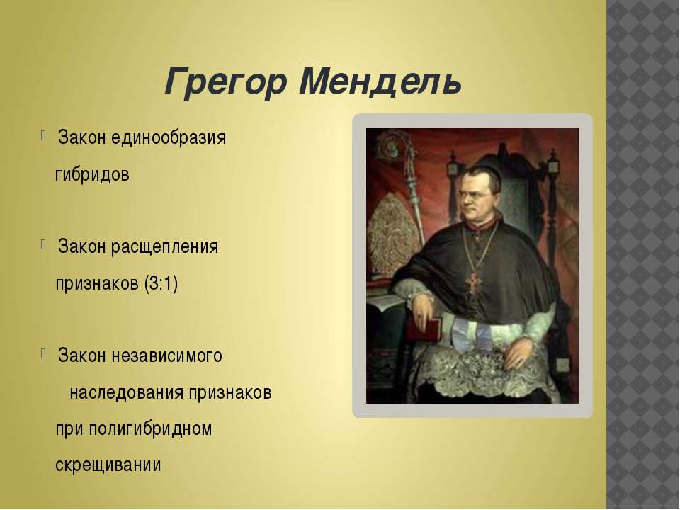Грегор Мендель - Скачать презентации бесплатно ☑ Презентации по предметам на gdz-books.ru