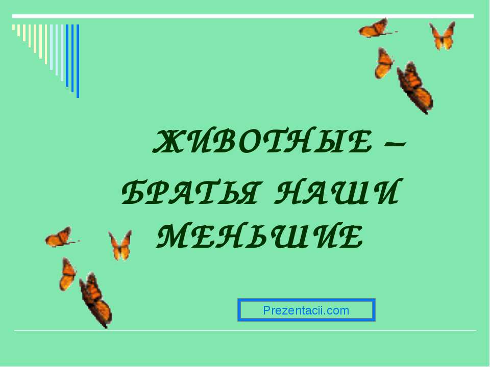 Животные - Скачать презентации бесплатно ☑ Презентации по предметам на gdz-books.ru