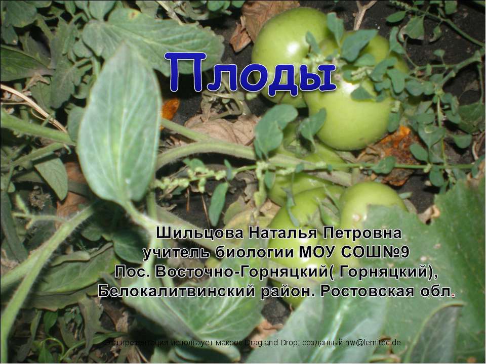 Плоды - Скачать презентации бесплатно ☑ Презентации по предметам на gdz-books.ru