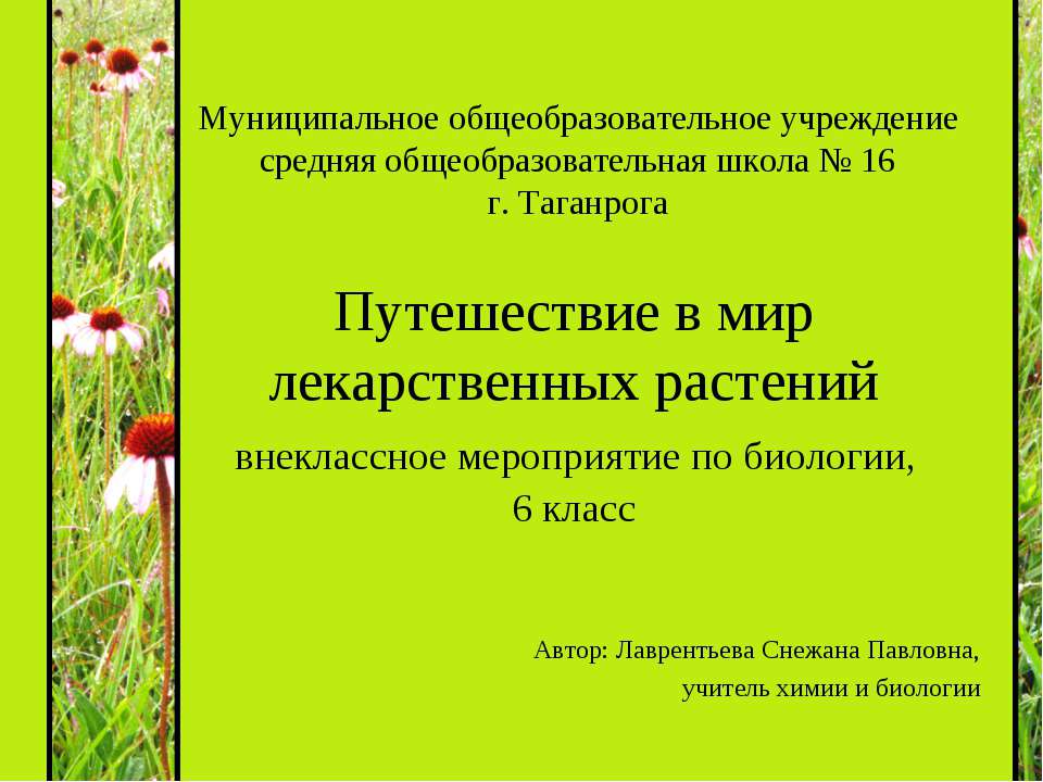 Путешествие в мир лекарственных растений  - Скачать презентации бесплатно | Читать или скачать учебники для школы онлайн бесплатно ☑ Школьные учебники school-textbook.com