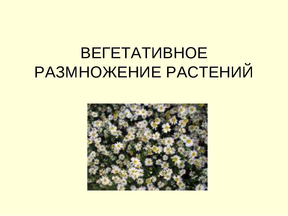 Вегетативное размножение растений - Скачать презентации бесплатно ☑ Презентации по предметам на gdz-books.ru