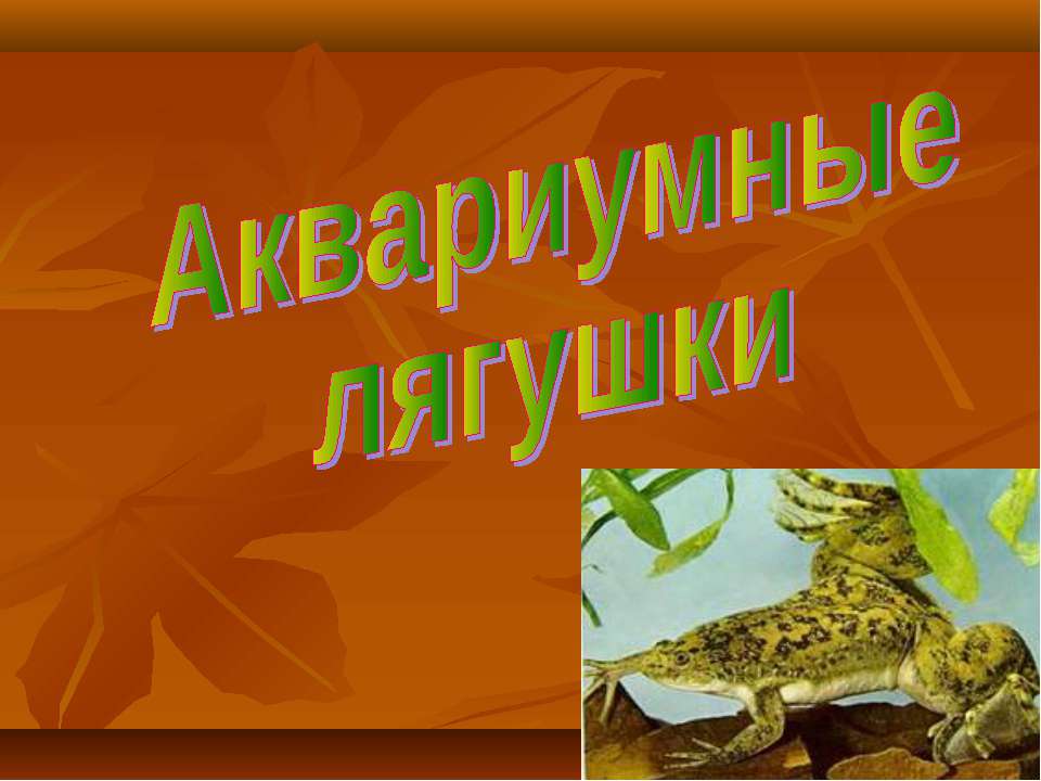 Аквариумные лягушки  - Скачать презентации бесплатно | Читать или скачать учебники для школы онлайн бесплатно ☑ Школьные учебники school-textbook.com