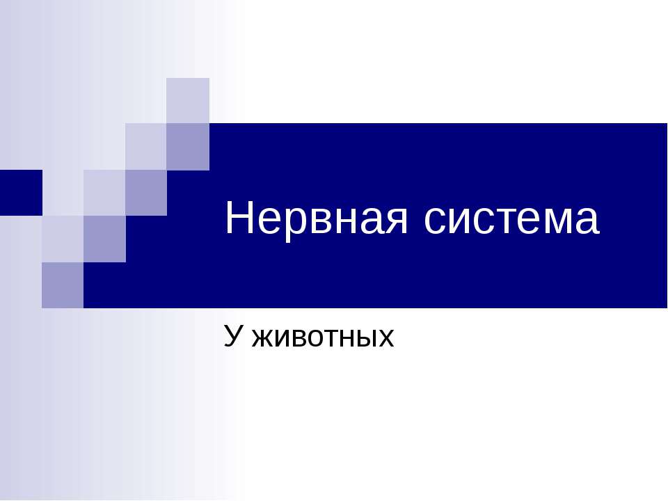 Нервная система У животных - Скачать презентации бесплатно ☑ Презентации по предметам на gdz-books.ru