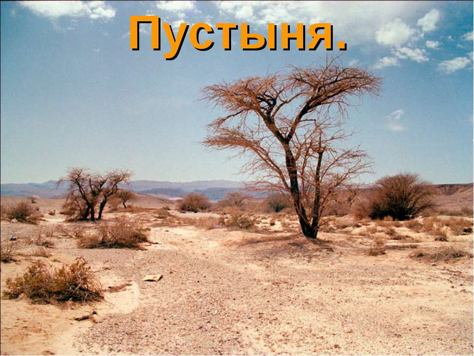 Пустыня  - Скачать презентации бесплатно | Читать или скачать учебники для школы онлайн бесплатно ☑ Школьные учебники school-textbook.com