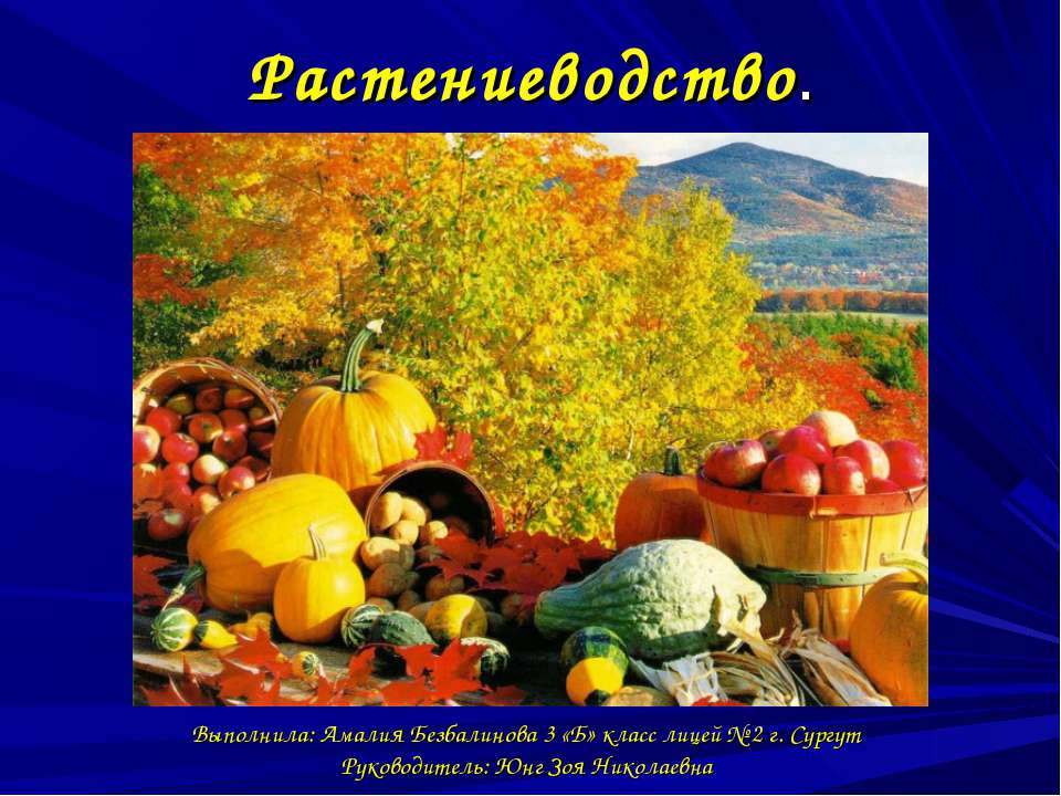 Растениеводство  - Скачать презентации бесплатно | Читать или скачать учебники для школы онлайн бесплатно ☑ Школьные учебники school-textbook.com