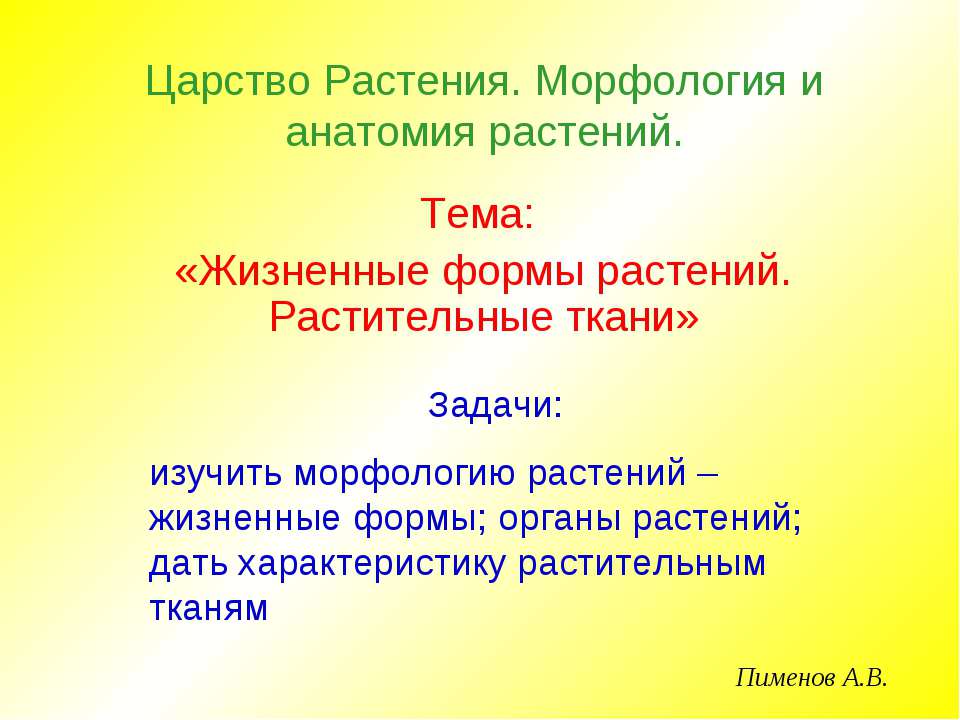 Жизненные формы растений. Растительные ткани  - Скачать презентации бесплатно | Читать или скачать учебники для школы онлайн бесплатно ☑ Школьные учебники school-textbook.com