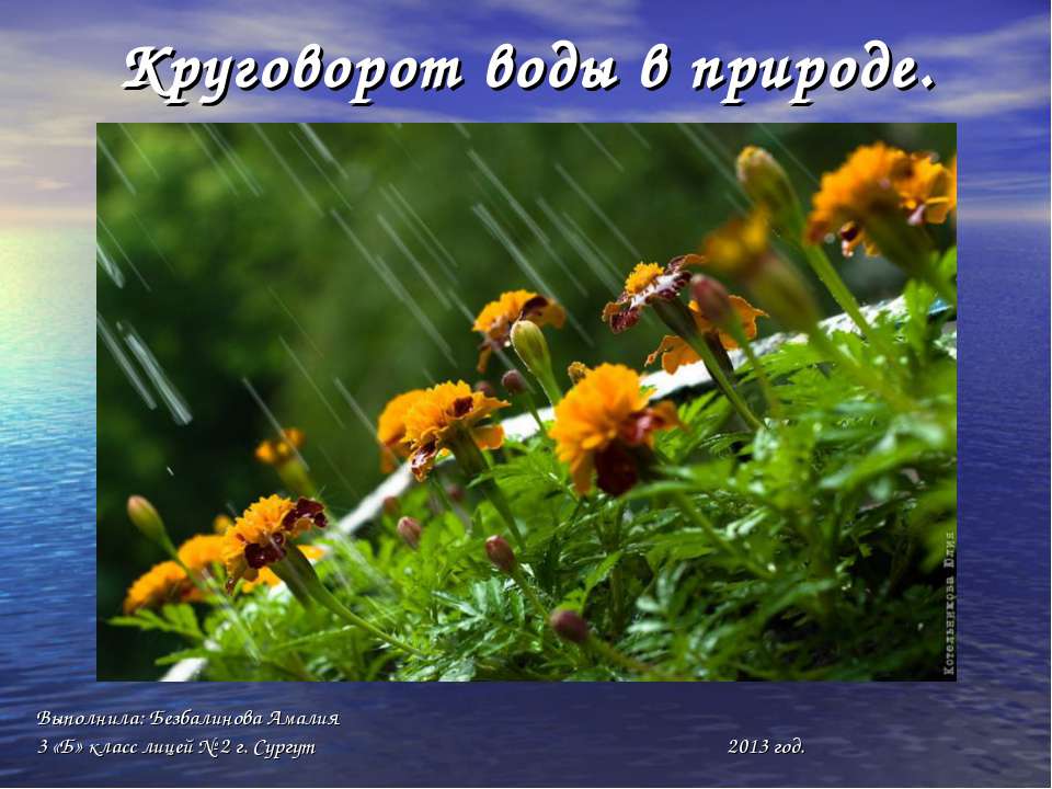 Круговорот воды в природе 3 класс - Скачать презентации бесплатно ☑ Презентации по предметам на gdz-books.ru