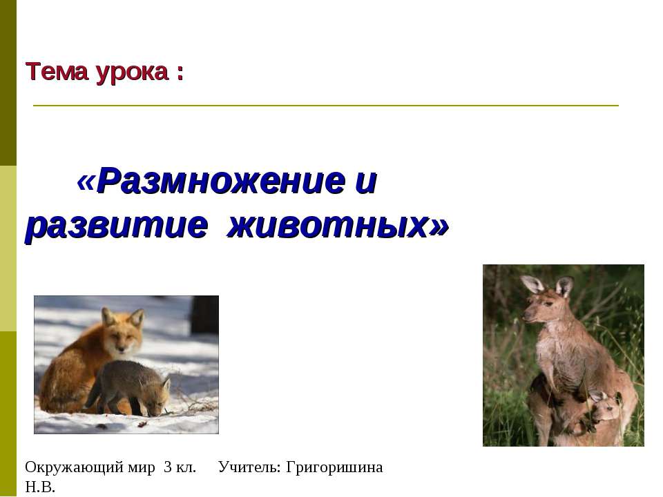 Размножение и развитие животных 3 класс  - Скачать презентации бесплатно | Читать или скачать учебники для школы онлайн бесплатно ☑ Школьные учебники school-textbook.com