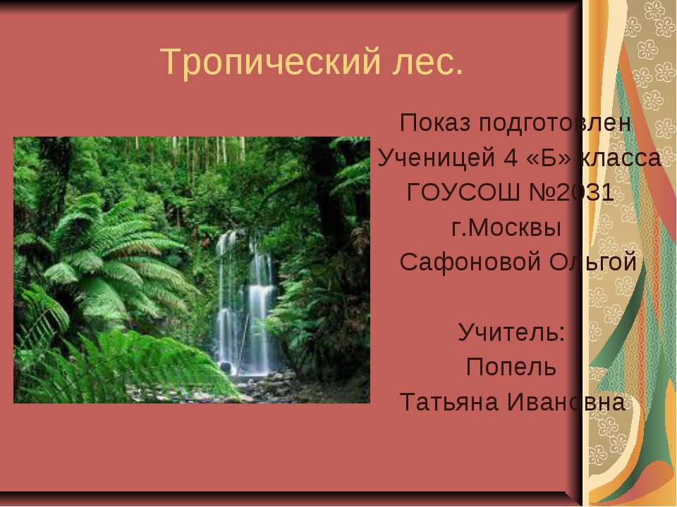 Тропический лес - Скачать презентации бесплатно ☑ Презентации по предметам на gdz-books.ru