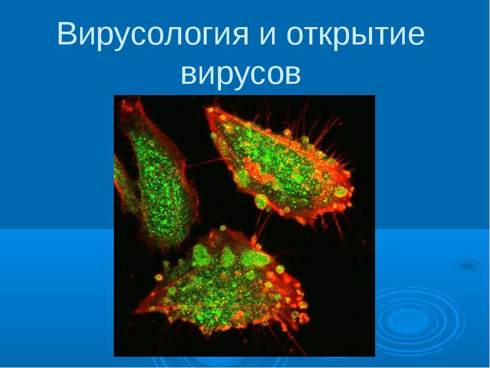 Вирусология и открытие вирусов - Скачать презентации бесплатно ☑ Презентации по предметам на gdz-books.ru