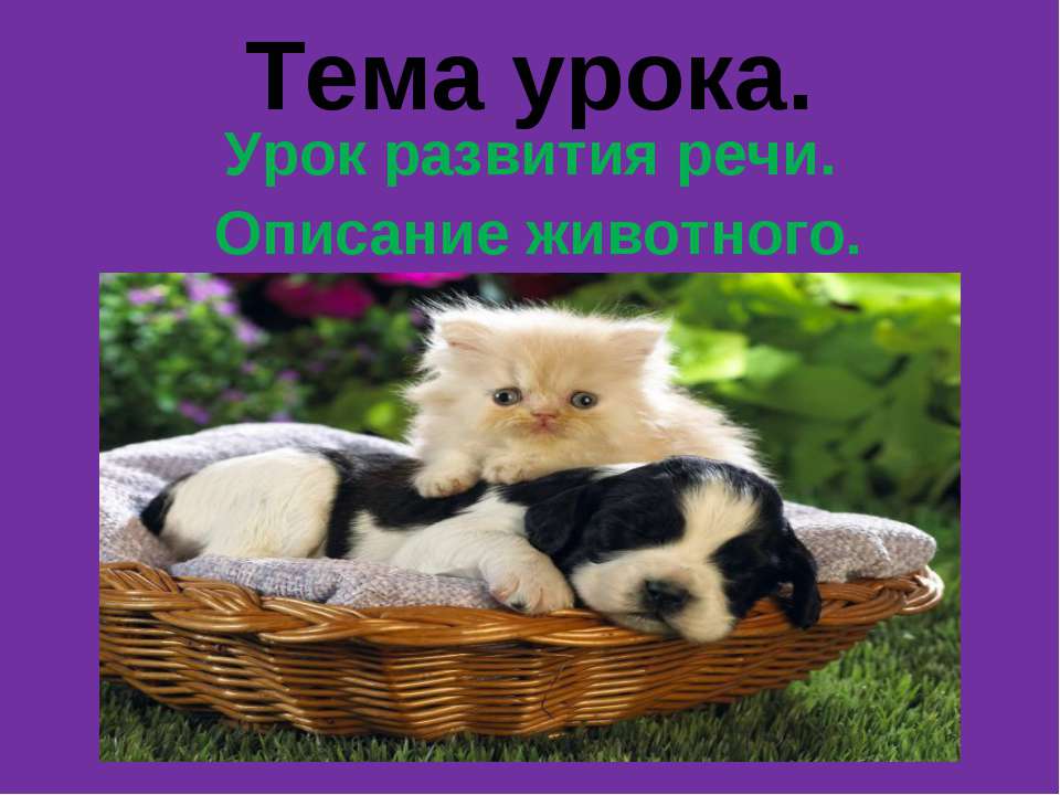 Урок развития речи. Описание животного  - Скачать презентации бесплатно | Читать или скачать учебники для школы онлайн бесплатно ☑ Школьные учебники school-textbook.com