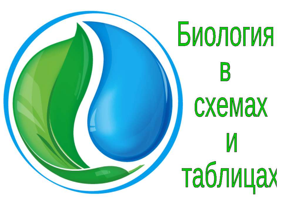 Биология в схемах и таблицах - Скачать презентации бесплатно ☑ Презентации по предметам на gdz-books.ru