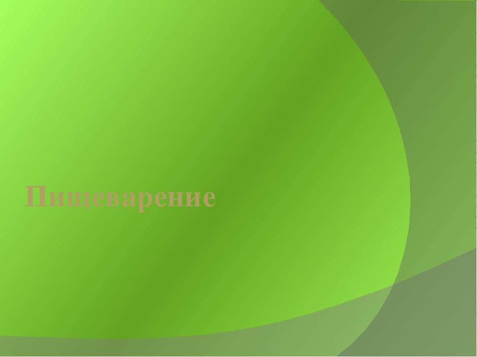 Пищеварение - Скачать презентации бесплатно ☑ Презентации по предметам на gdz-books.ru