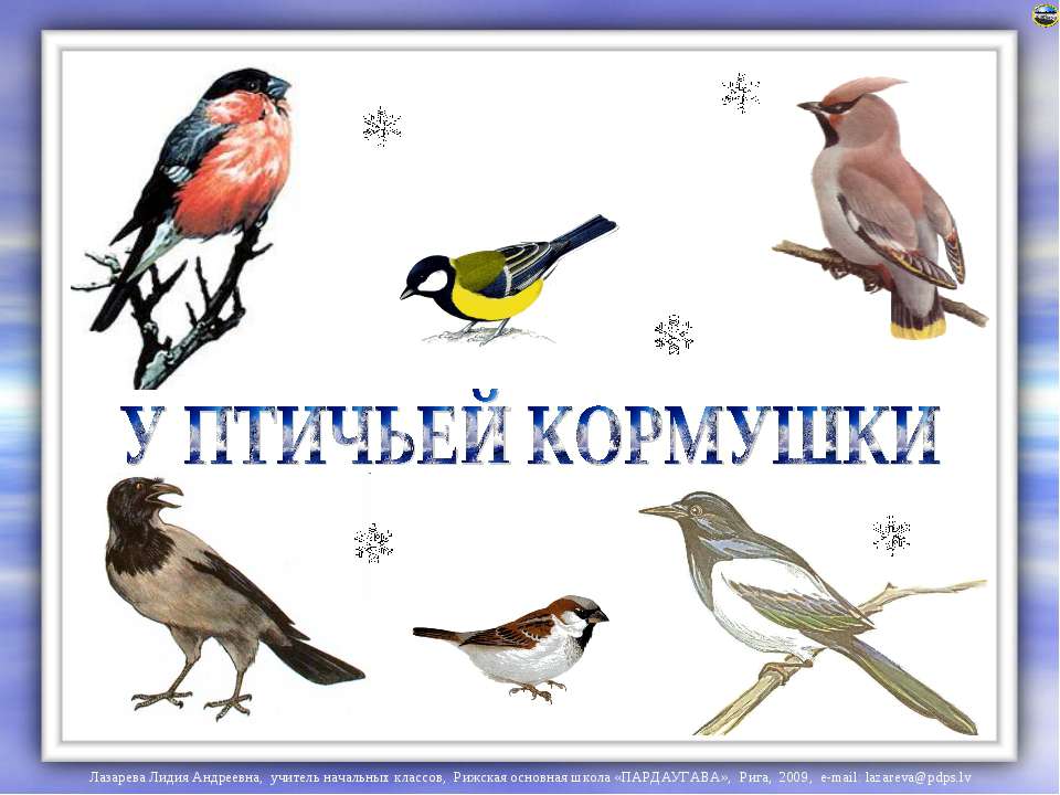 У птичьей кормушки - Скачать презентации бесплатно ☑ Презентации по предметам на gdz-books.ru
