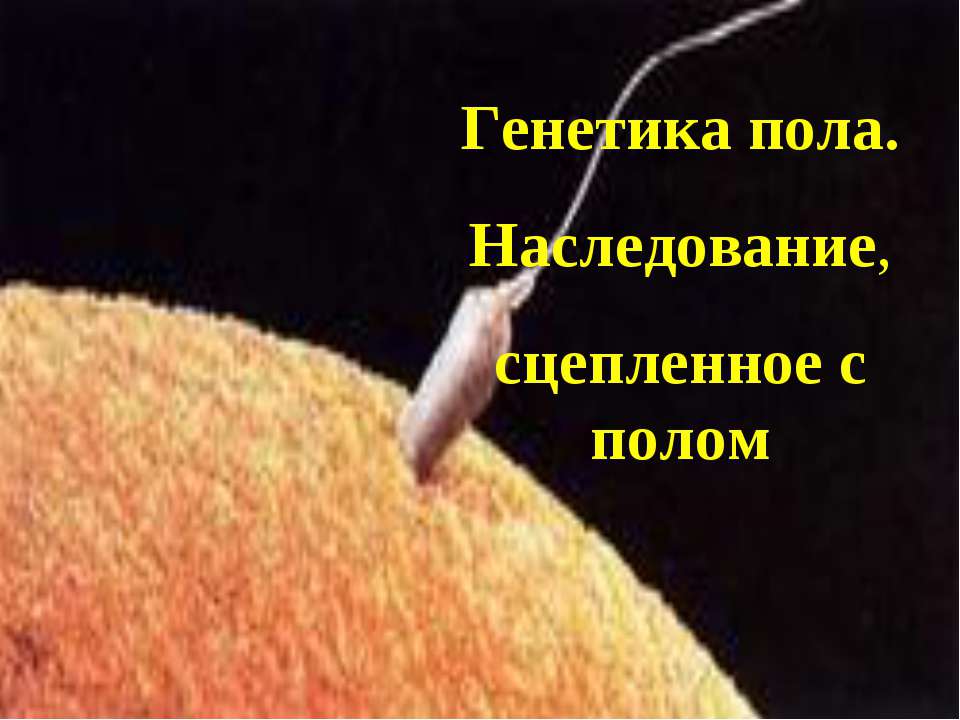 Генетика пола. Наследование, сцепленное с полом  - Скачать презентации бесплатно | Читать или скачать учебники для школы онлайн бесплатно ☑ Школьные учебники school-textbook.com