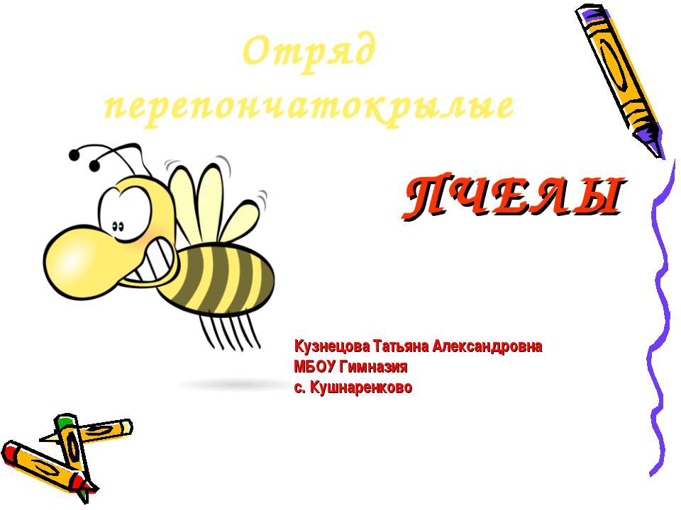 Отряд перепончатокрылые пчелы  - Скачать презентации бесплатно | Читать или скачать учебники для школы онлайн бесплатно ☑ Школьные учебники school-textbook.com