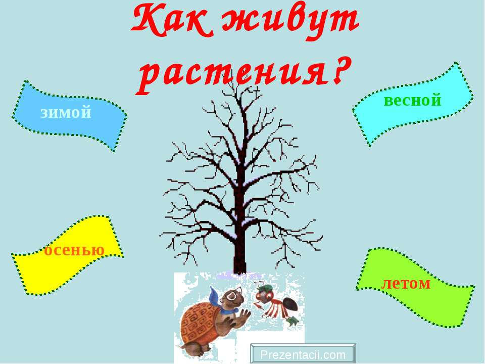 Как живут растения? - Скачать презентации бесплатно ☑ Презентации по предметам на gdz-books.ru