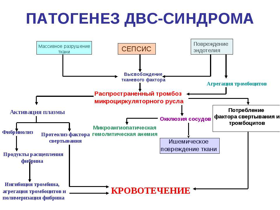 Патогенез ДВС-синдрома  - Скачать презентации бесплатно | Читать или скачать учебники для школы онлайн бесплатно ☑ Школьные учебники school-textbook.com