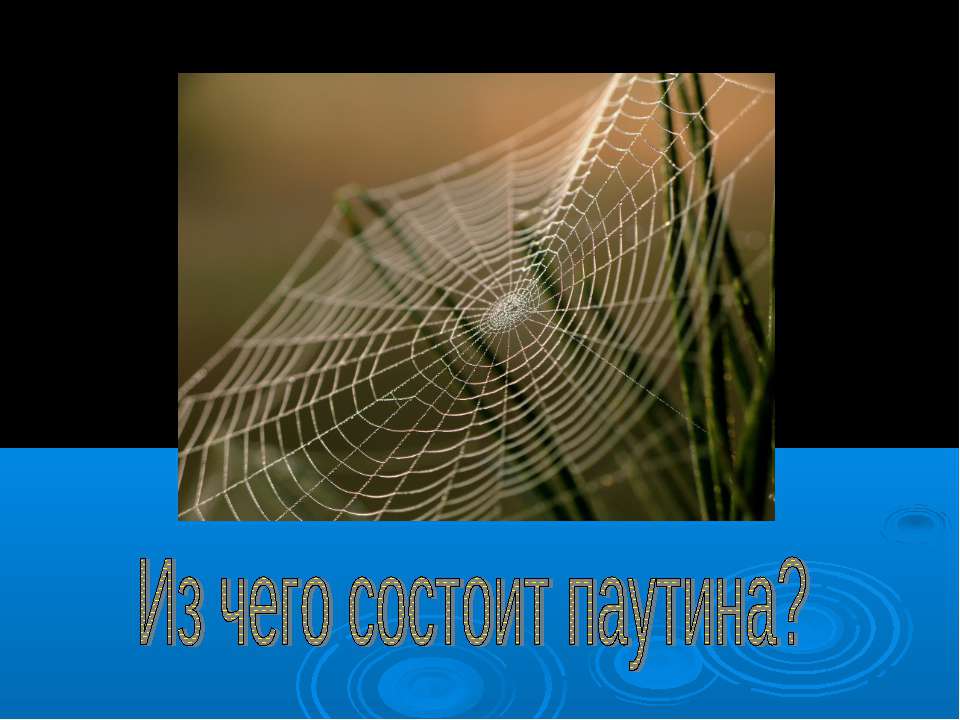 Из чего состоит паутина? - Скачать презентации бесплатно ☑ Презентации по предметам на gdz-books.ru