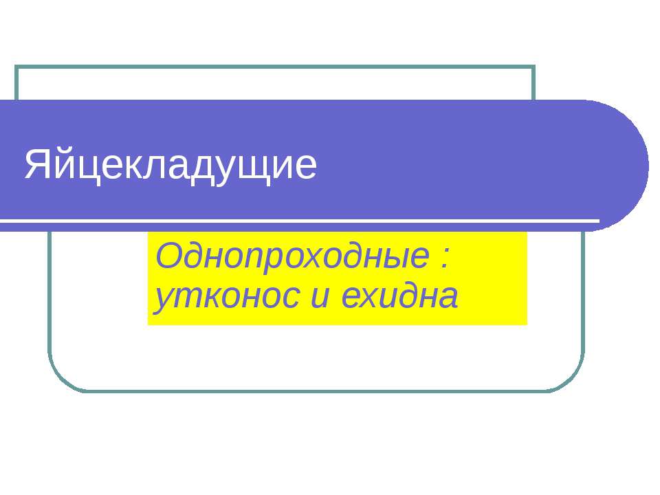 Яйцекладущие - Скачать презентации бесплатно ☑ Презентации по предметам на gdz-books.ru