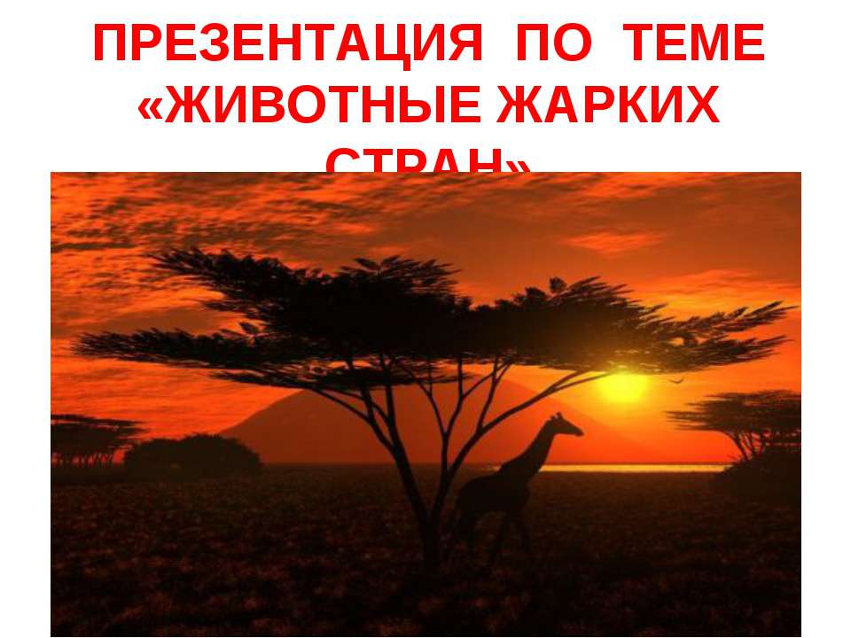 Животные жарких стран - Скачать презентации бесплатно ☑ Презентации по предметам на gdz-books.ru