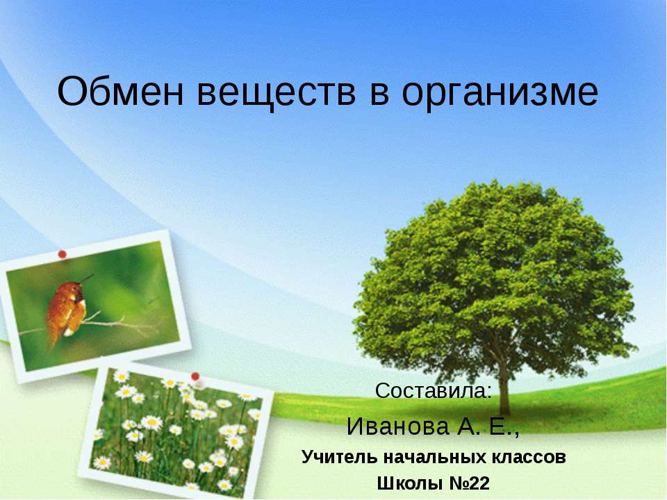 Обмен веществ в организме - Скачать презентации бесплатно ☑ Презентации по предметам на gdz-books.ru