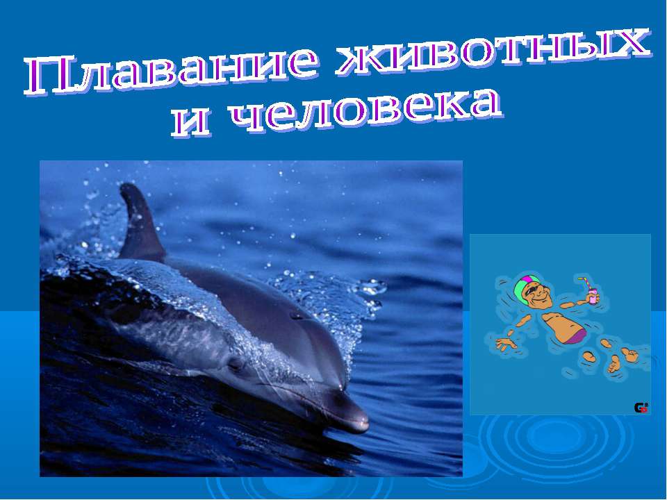 Плавание животных и человека - Скачать презентации бесплатно ☑ Презентации по предметам на gdz-books.ru