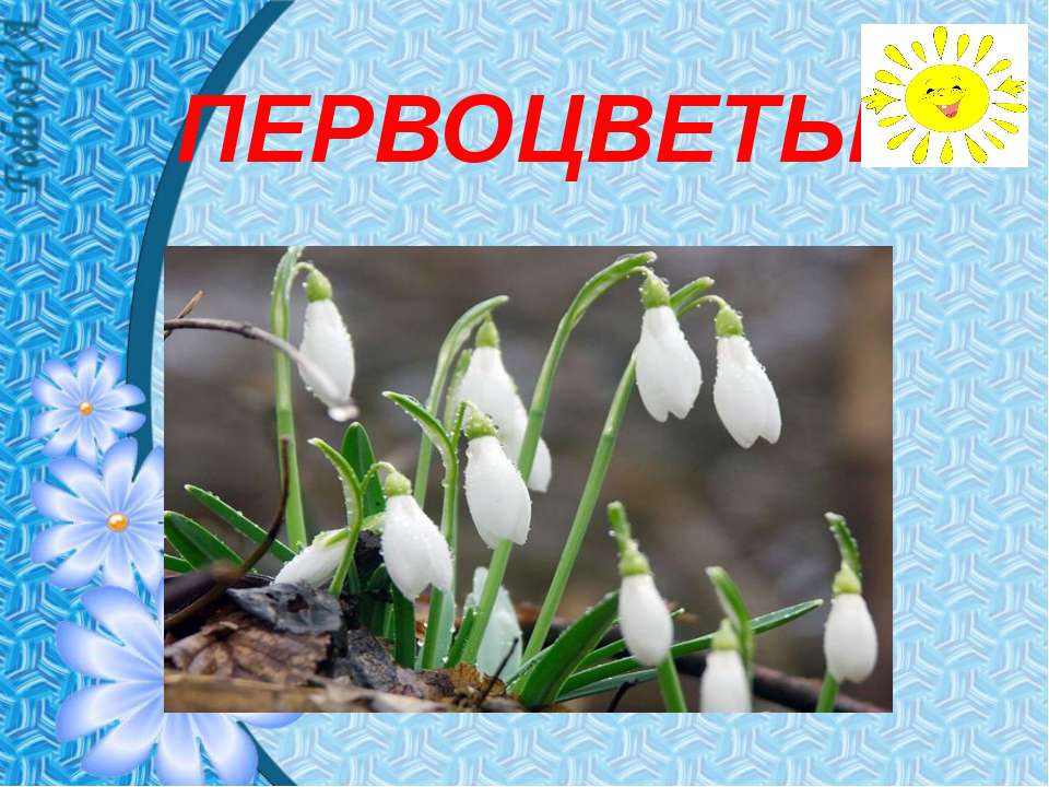 Первоцветы - Скачать презентации бесплатно ☑ Презентации по предметам на gdz-books.ru