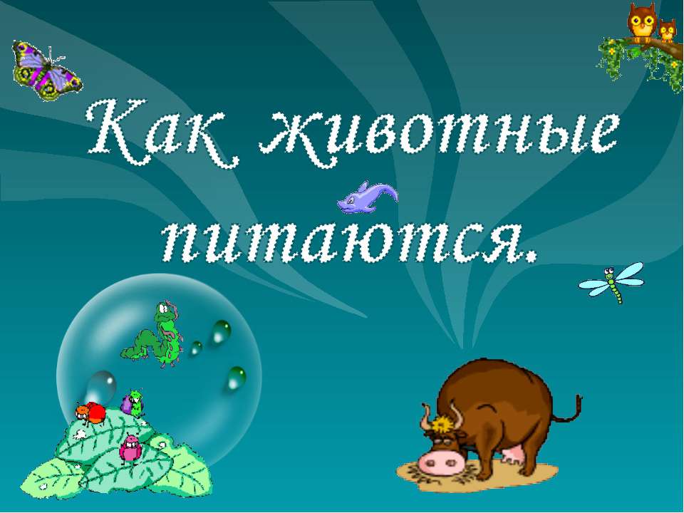 Как животные питаются 3 класс  - Скачать презентации бесплатно | Читать или скачать учебники для школы онлайн бесплатно ☑ Школьные учебники school-textbook.com