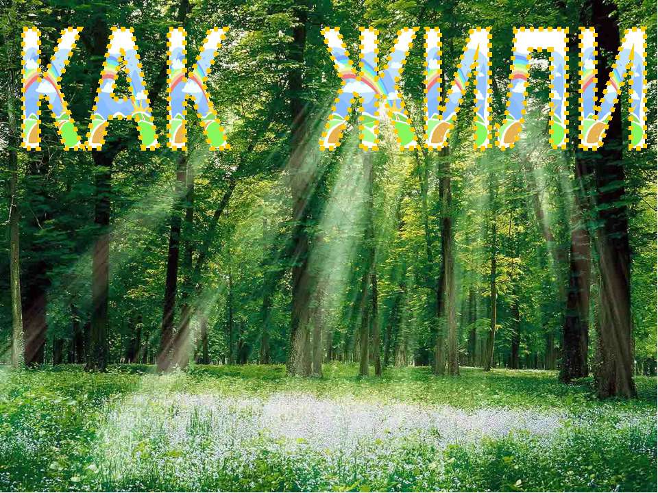 Как жили ежи в лесной глуши  - Скачать презентации бесплатно | Читать или скачать учебники для школы онлайн бесплатно ☑ Школьные учебники school-textbook.com