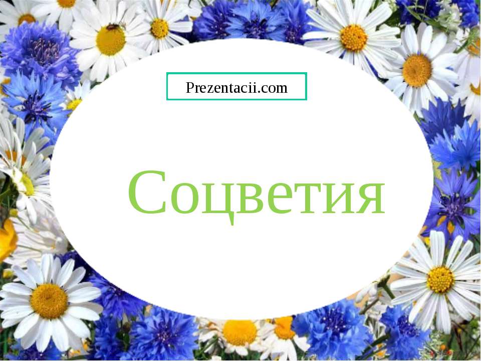 Соцветия  - Скачать презентации бесплатно | Читать или скачать учебники для школы онлайн бесплатно ☑ Школьные учебники school-textbook.com