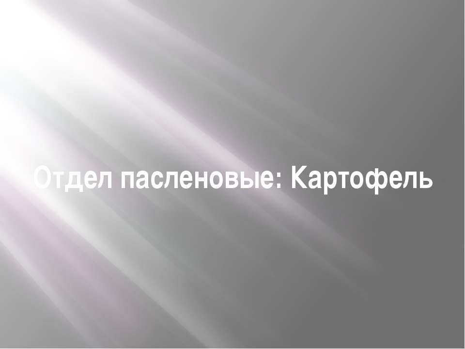 Картофель  - Скачать презентации бесплатно | Читать или скачать учебники для школы онлайн бесплатно ☑ Школьные учебники school-textbook.com
